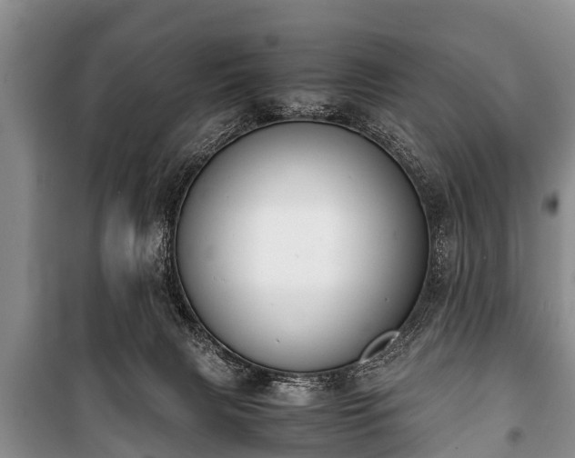 X0000100770079200806261554