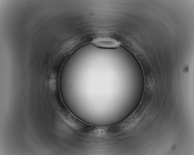 X0000100770080200806261554