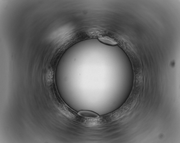 X0000100770081200806261554