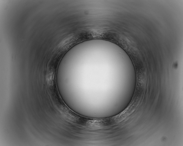 X0000100770082200806261554