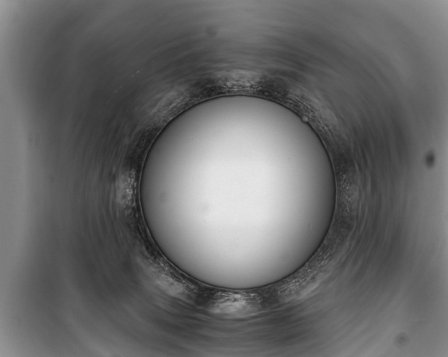 X0000100770083200806261554