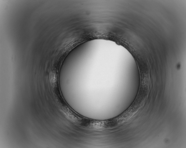 X0000100770084200806261554