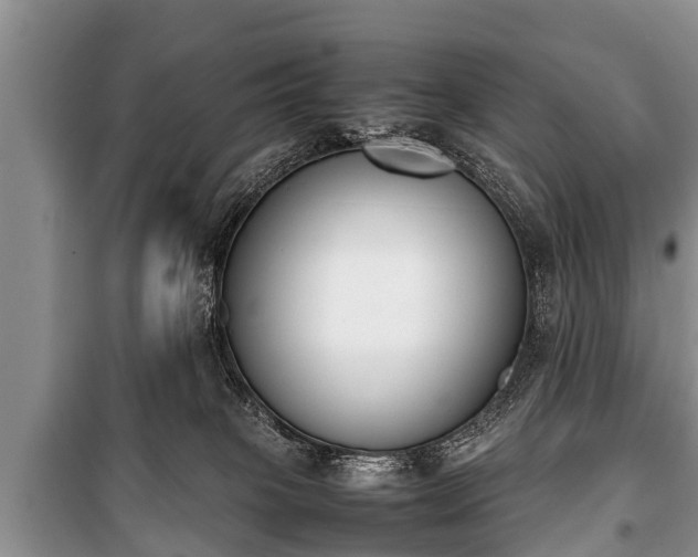 X0000100770085200806261554