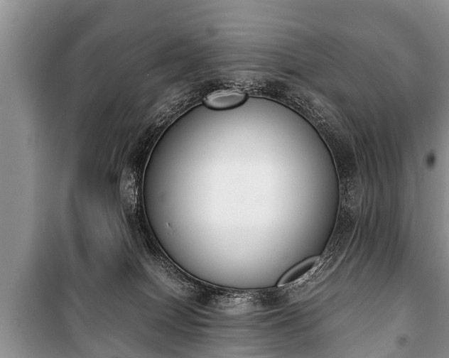 X0000100770086200806261554