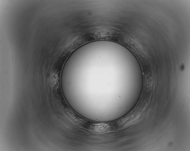 X0000100770087200806261554