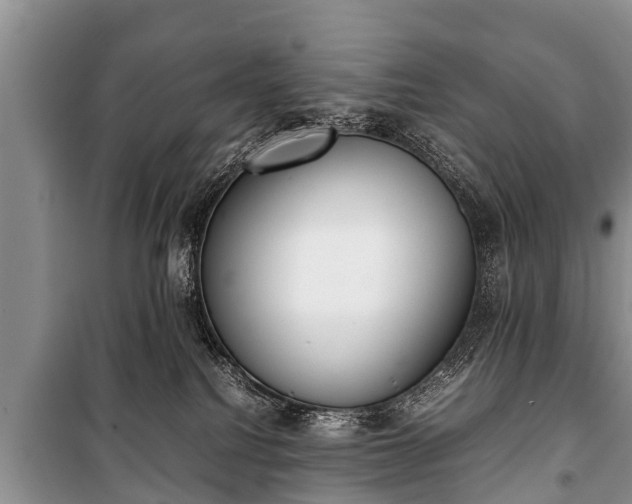 X0000100770088200806261554