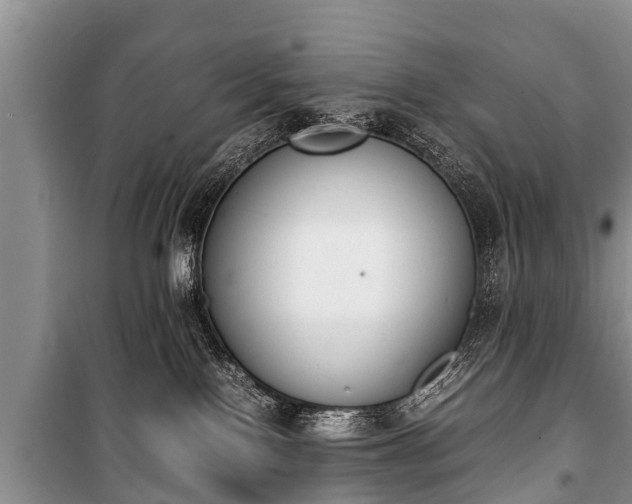 X0000100770090200806261554