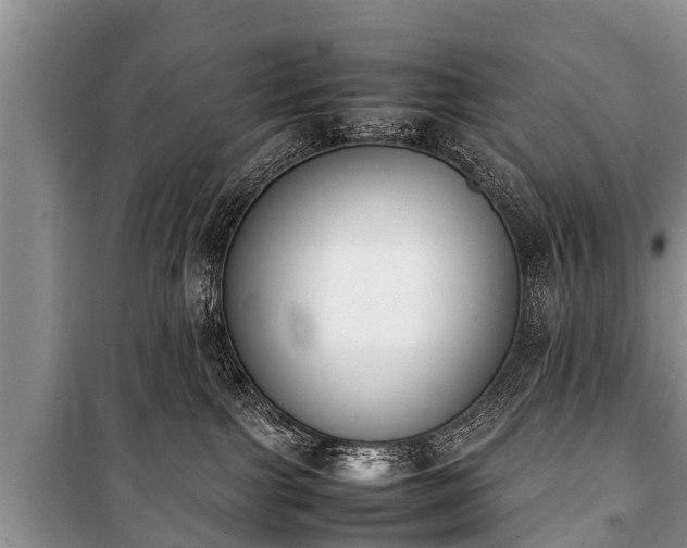 X0000100770091200806261554