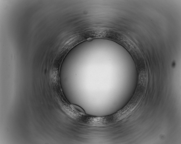 X0000100770092200806261554