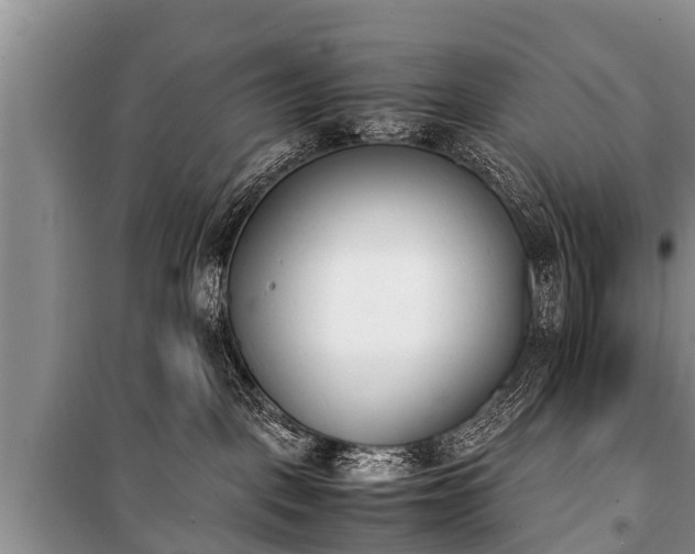 X0000100770093200806261554