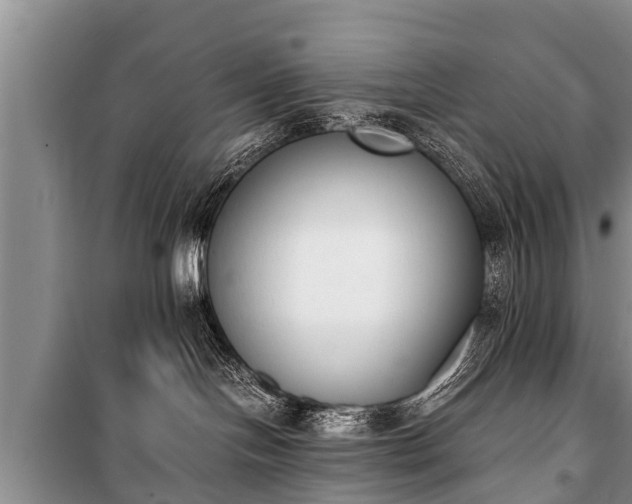 X0000100770094200806261554