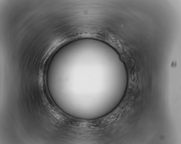 X0000100770098200806261553