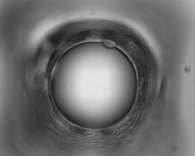 X0000100770099200806261553