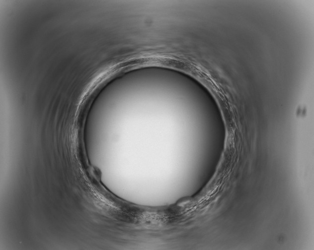 X0000100770101200806261553