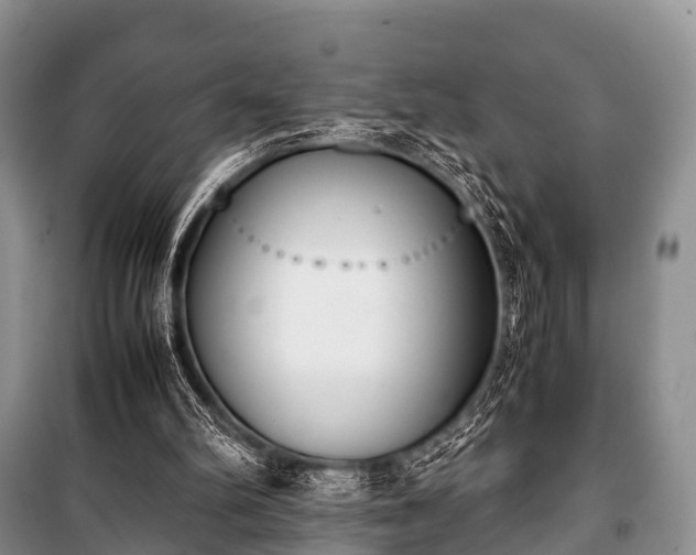 X0000100770102200806261553