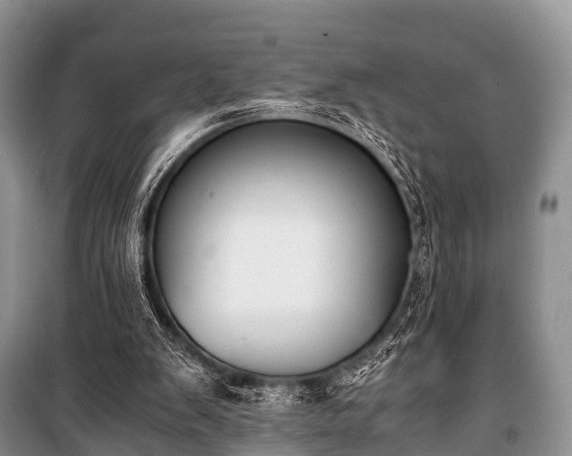 X0000100770103200806261553