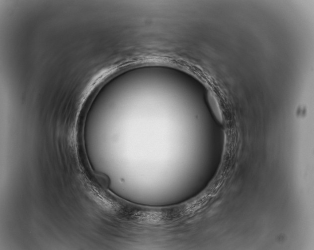 X0000100770104200806261553
