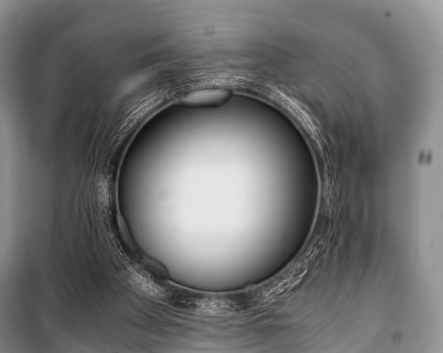X0000100770105200806261553