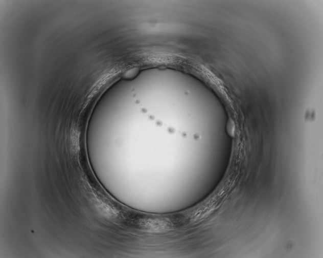 X0000100770106200806261553