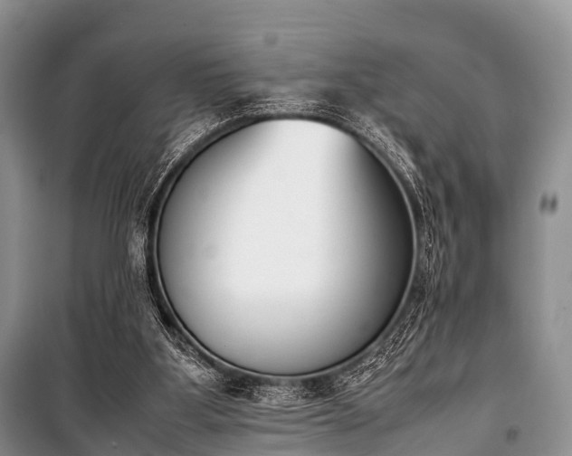 X0000100770107200806261553
