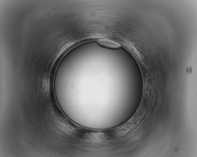 X0000100770108200806261553