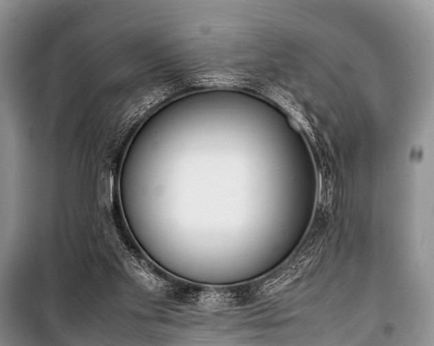 X0000100770109200806261553