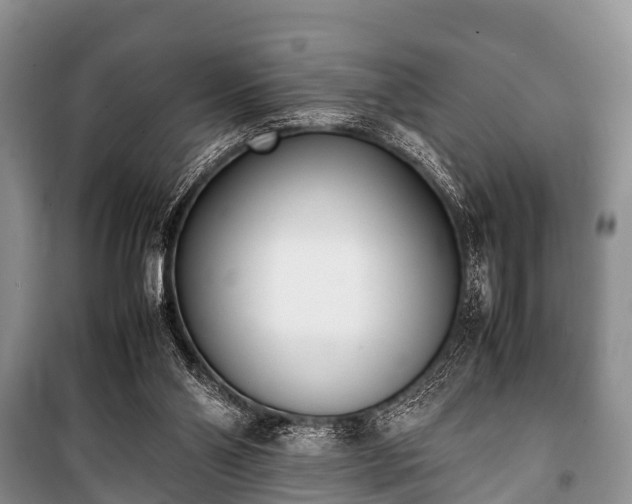 X0000100770110200806261553