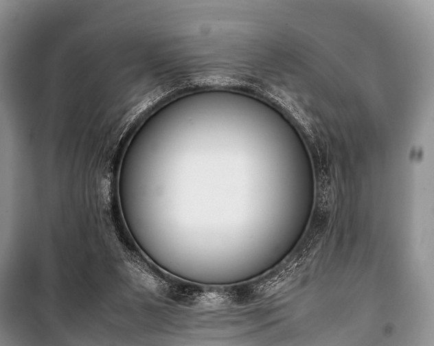 X0000100770111200806261553