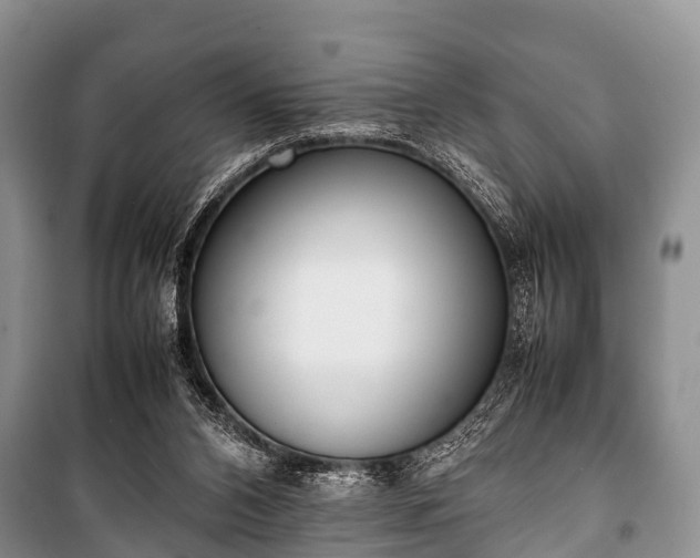 X0000100770112200806261553