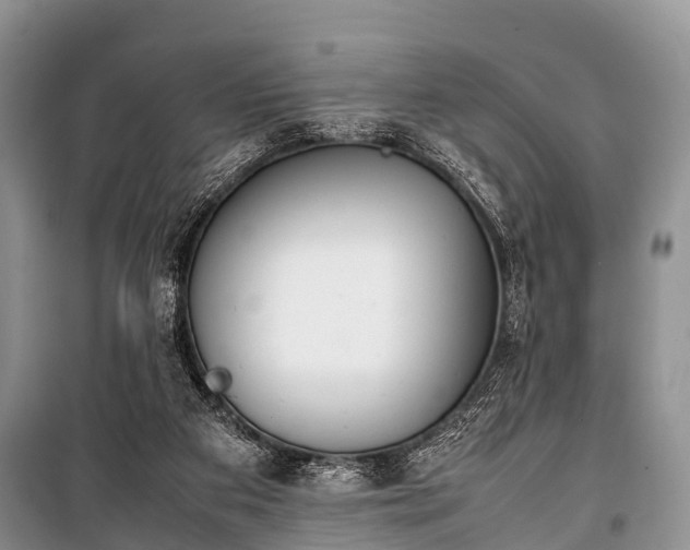X0000100770113200806261553