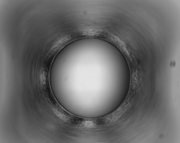 X0000100770114200806261553