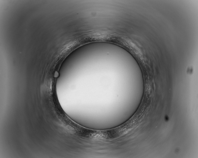 X0000100770115200806261553