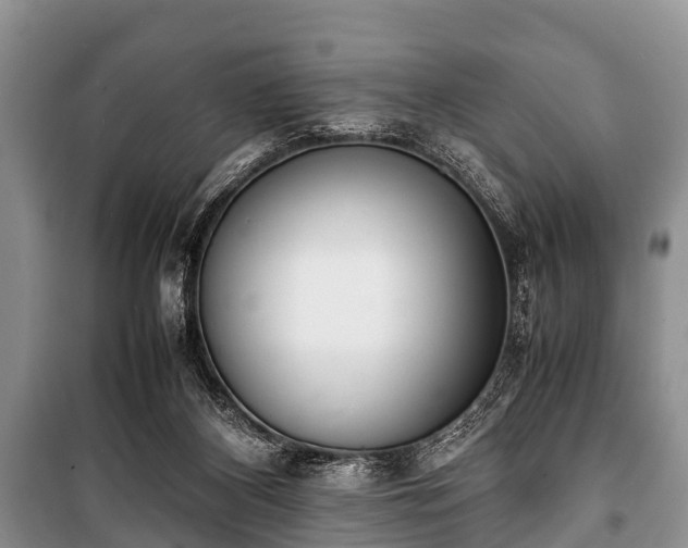 X0000100770116200806261553