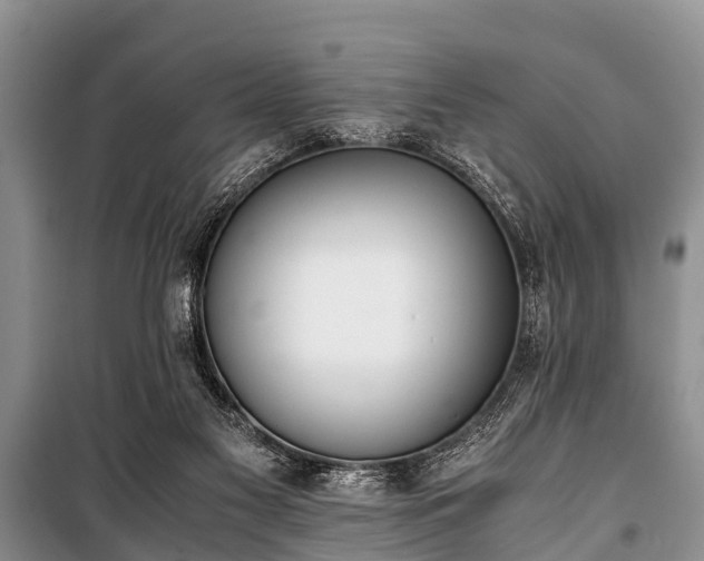 X0000100770117200806261553