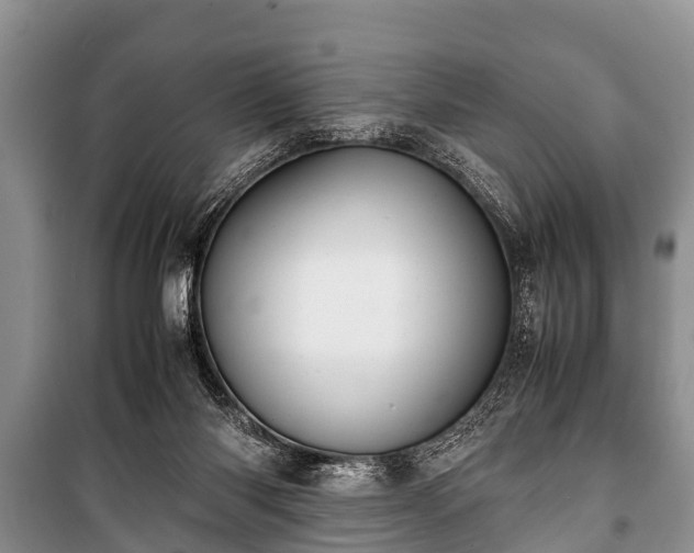 X0000100770118200806261553