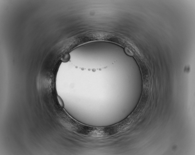 X0000100770119200806261553