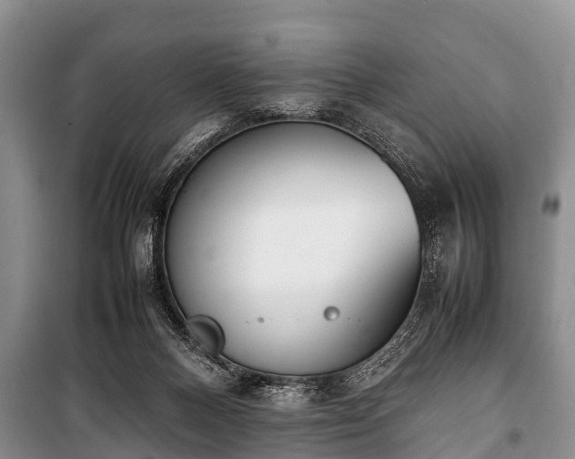 X0000100770120200806261553