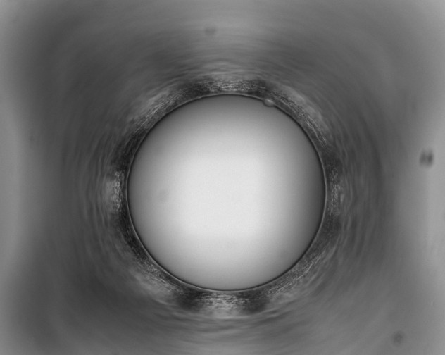 X0000100770121200806261553