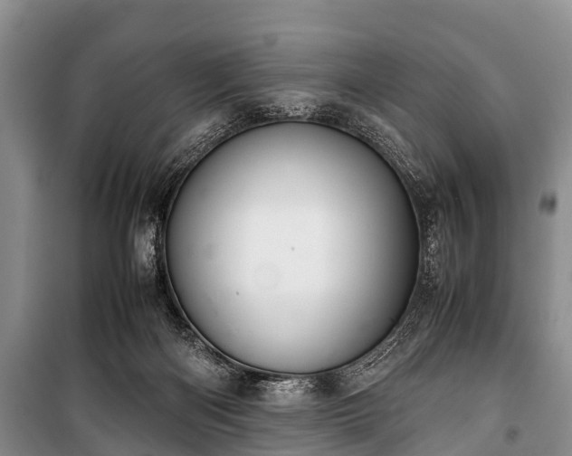X0000100770122200806261553
