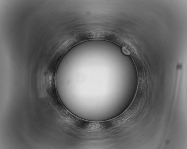 X0000100770123200806261553