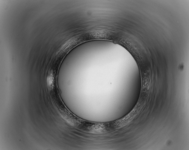 X0000100770124200806261553
