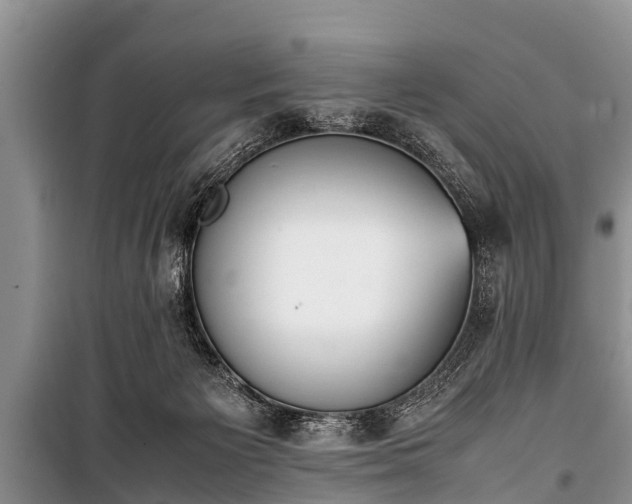 X0000100770125200806261553