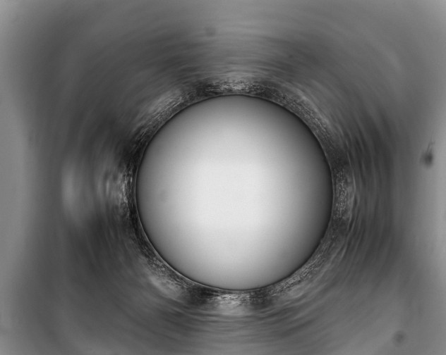 X0000100770126200806261553