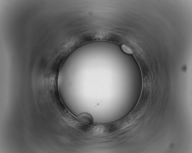 X0000100770127200806261553