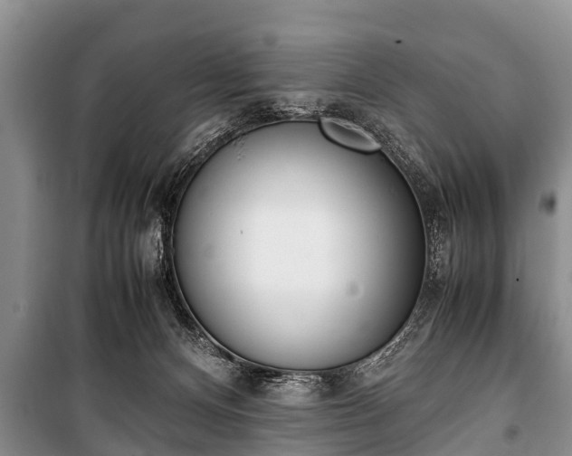 X0000100770128200806261553