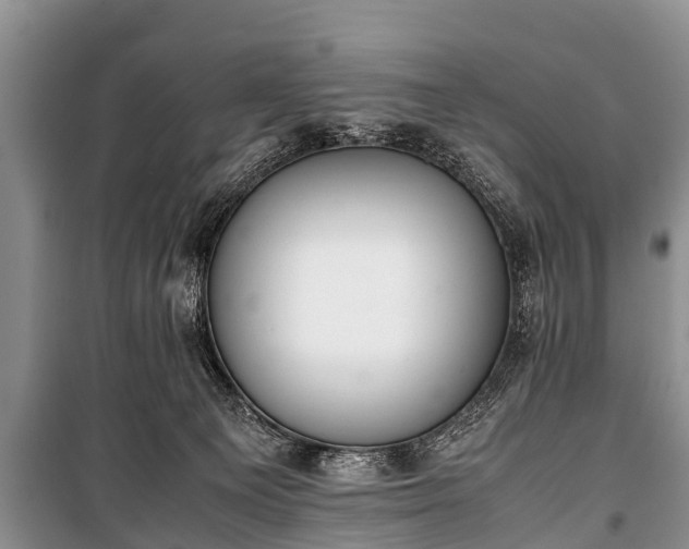 X0000100770129200806261553
