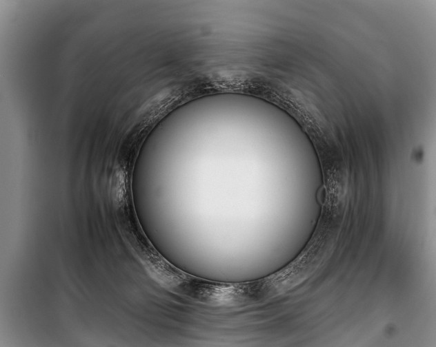 X0000100770130200806261553