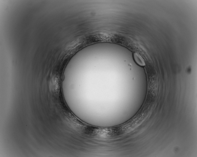X0000100770131200806261553
