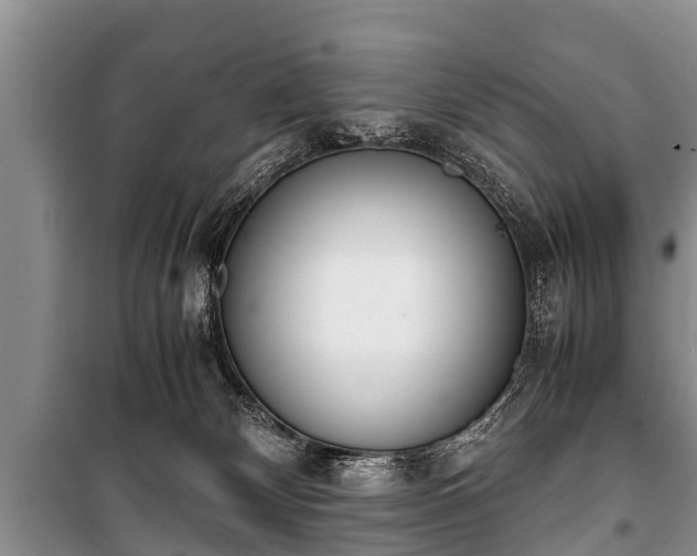 X0000100770132200806261553