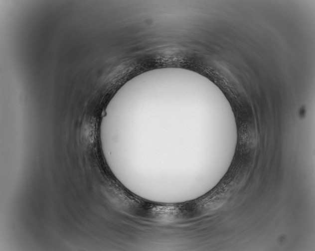 X0000100770133200806261553